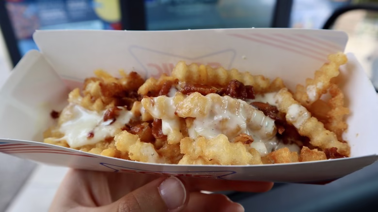 Chili-Cheese-Groovy-Fries-user-review